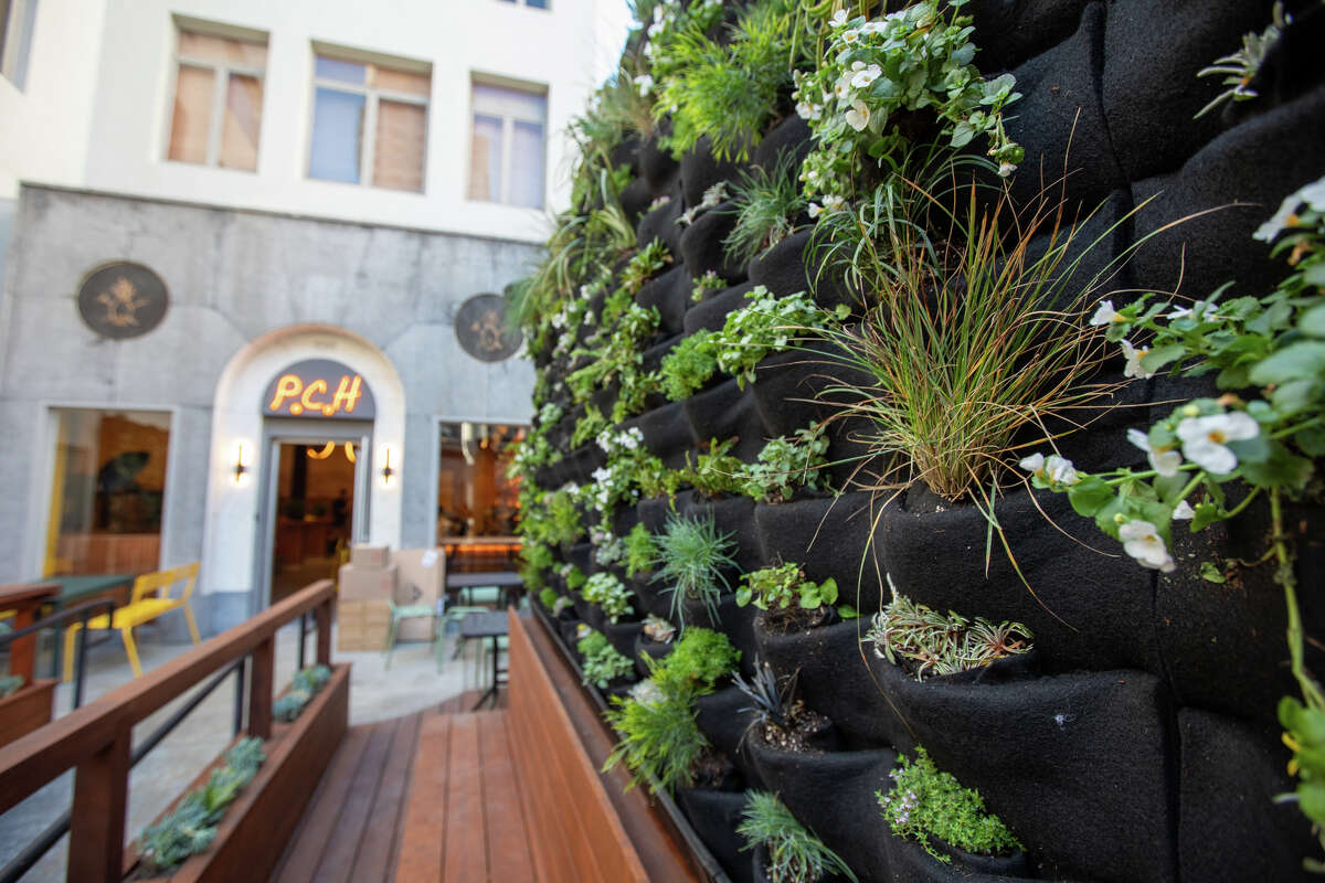 A live plant wall along the exterior seating at the new location for Pacific Cocktail Haven in San Francisco on Mar. 11, 2022. The bar is reopening in a new location after being closed for more than a year following a destructive fire in February 2021.