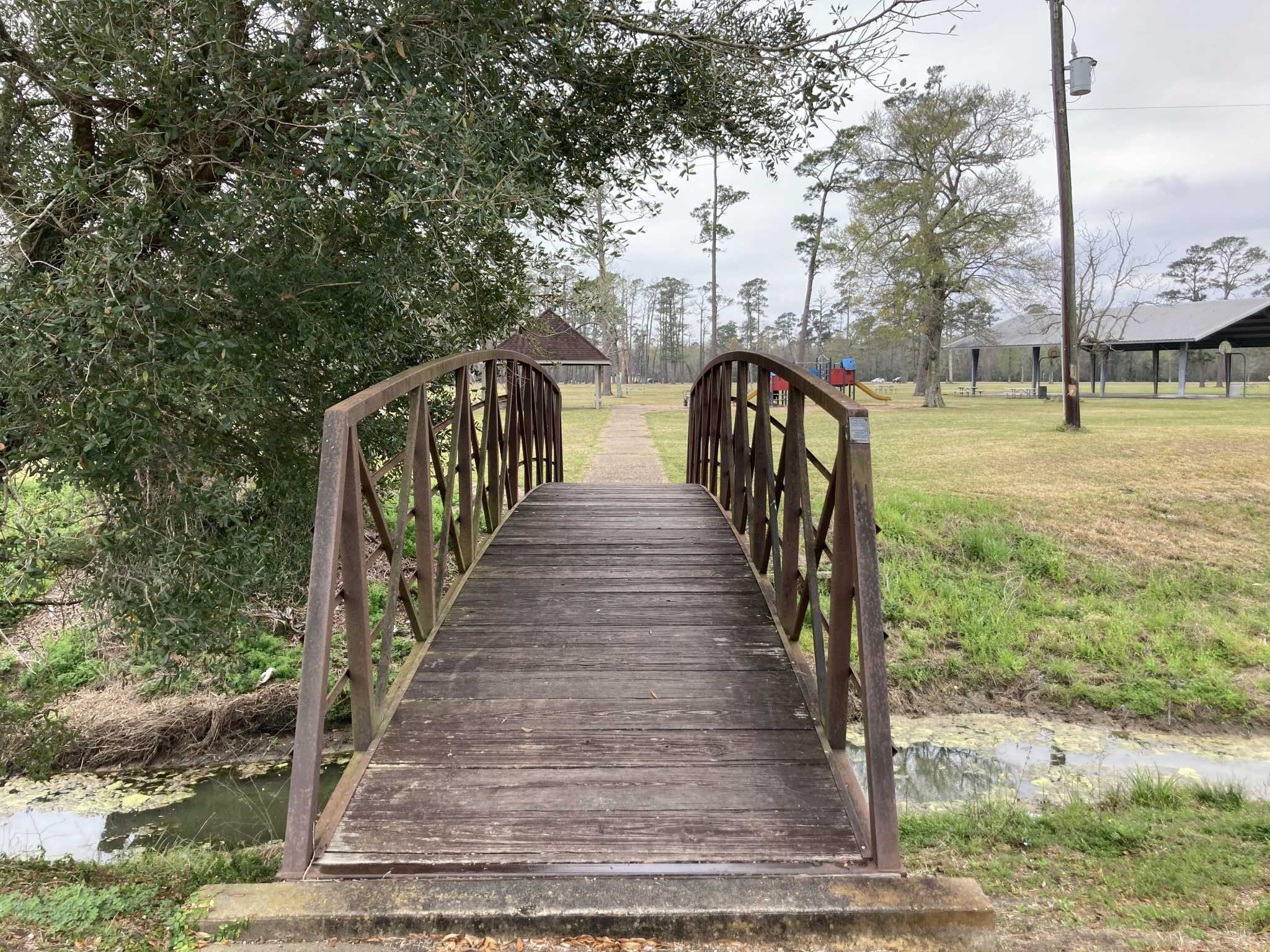 Tyrrell Park could be getting a new walking trail