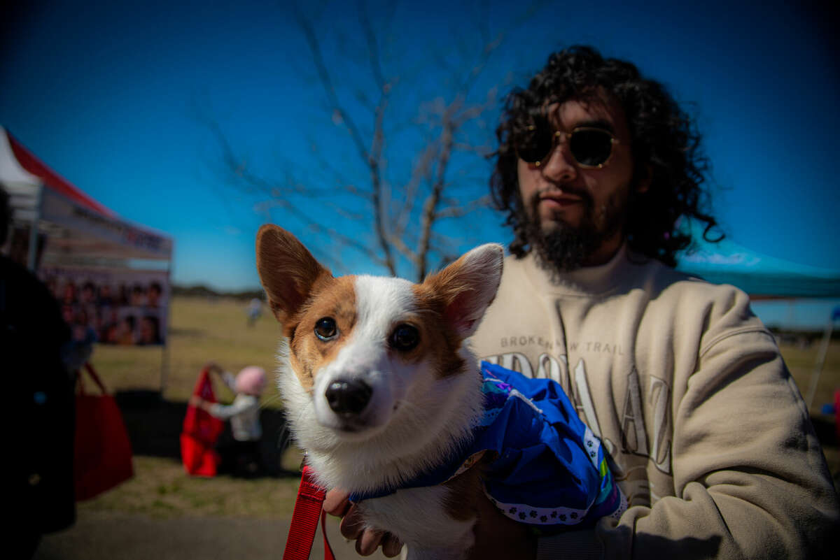 Pups and kite enthusiasts turned out for the 15th annual Fest of Tails on March 12 at McAllister Park. 