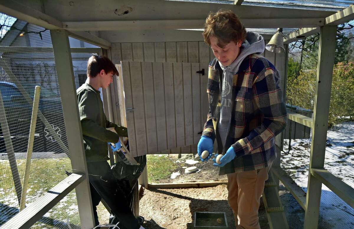 Brunswick students turn Greenwich’s coops into biz opportunity