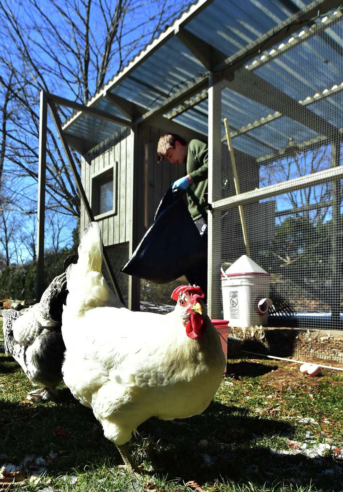 Brunswick students turn Greenwich’s coops into biz opportunity