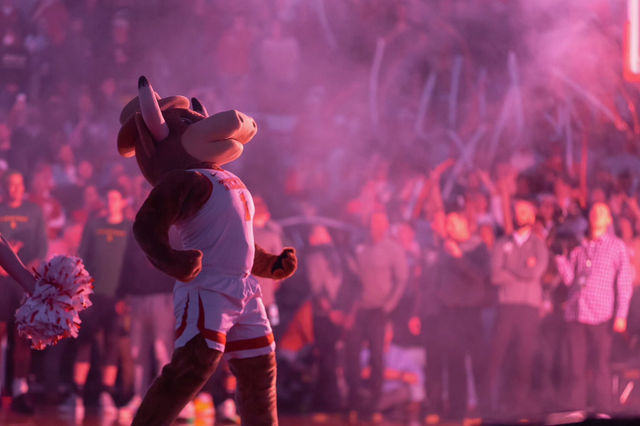 Making your NCAA bracket from mascots or colors? Here's your guide - Vimarsana News