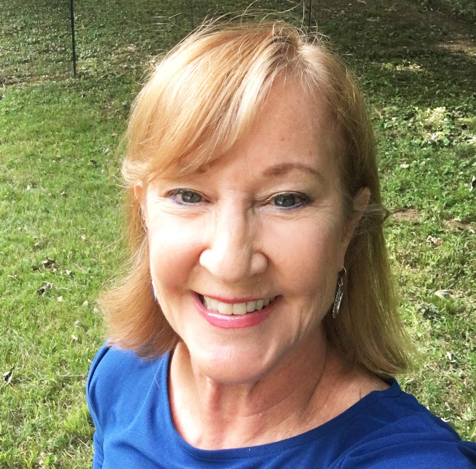 Chester state Rep. Christine Palm running for re-election - Vimarsana News