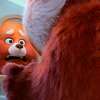 Mei Lee hides in the bathroom after she discovers she has turned into a giant red panda. 