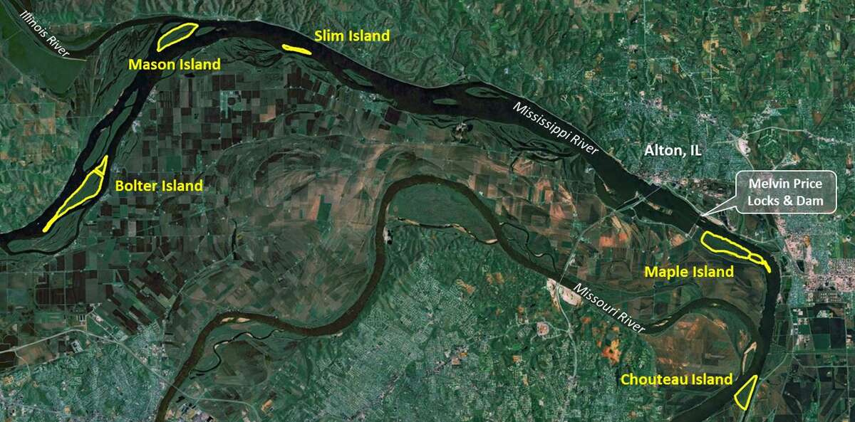 Location of the five Japanese hops study sites near the confluence of the Mississippi and Missouri Rivers. 