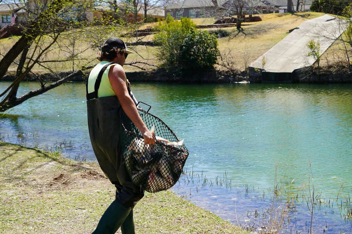 Texas Parks and Wildlife restocked a creek in Boerne with more than 1,000 pounds of catfish on Wednesday.