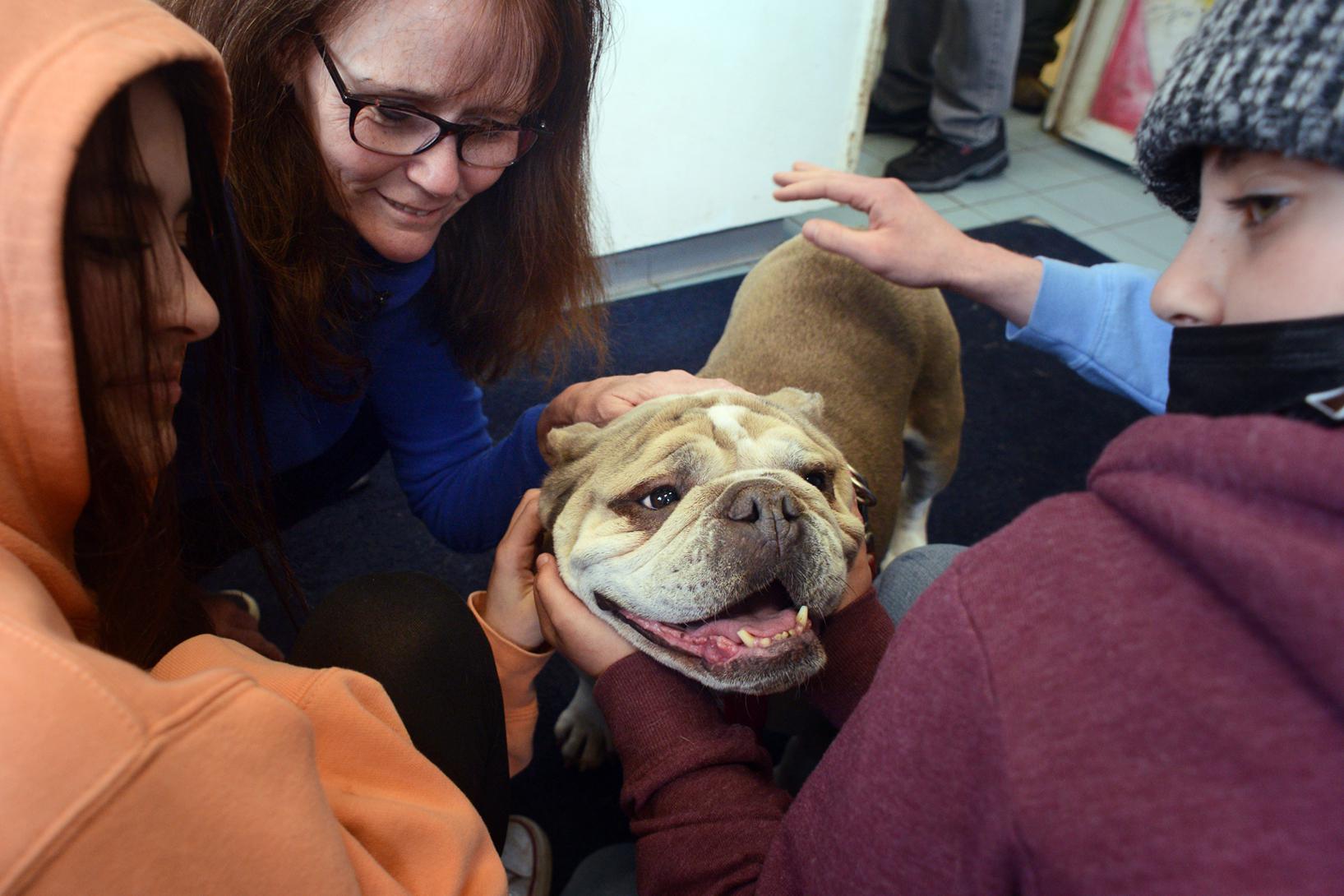 Mary the abused bulldog goes home with new Hamden family - Vimarsana News
