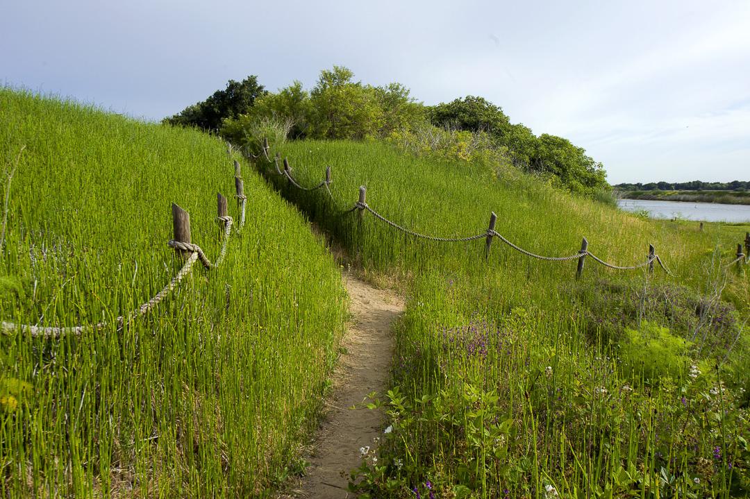 State park near Antioch closing down due to 'no resources' - Vimarsana News