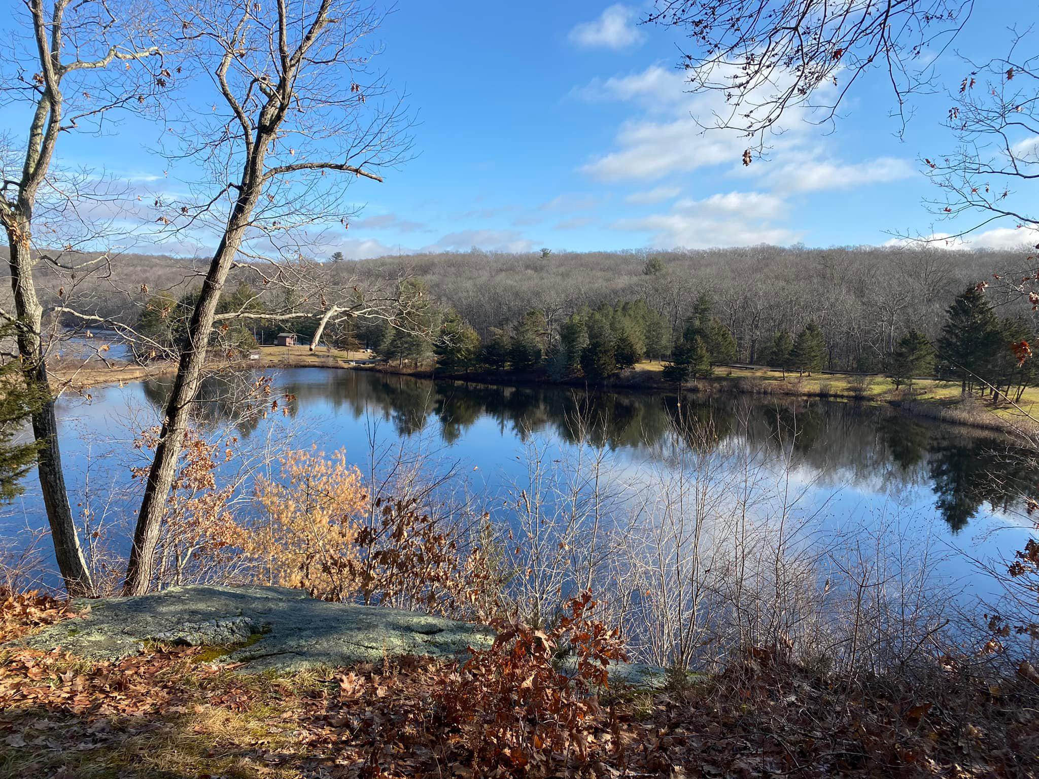 Lawsuit over bird sanctuary at Deer Lake will go forward, regardless who owns it - Vimarsana News