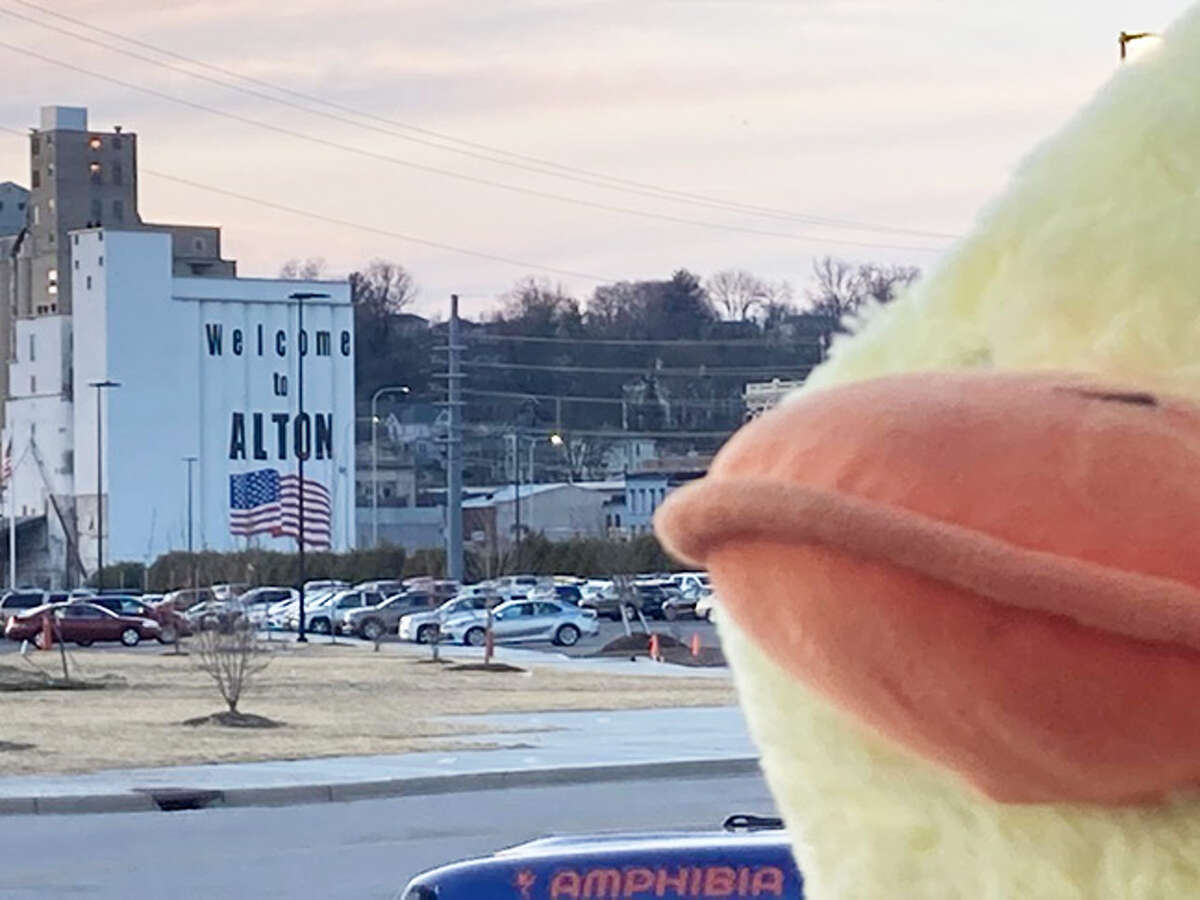 Mr. Vanderquack gets his bill into a photo at the Alton riverfront. The giant plush duck is the ambassador for a Jeep-related fundraising effort for St. Jude Children’s Research Hospital started by East Alton resident Lisa Unverzagt.