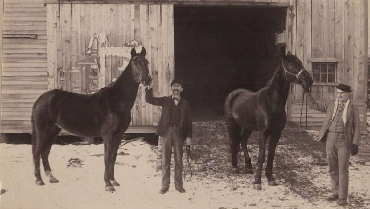 George and I.P. Jones, grandsons of Archibald Jones, with horses from their Park Hotel and Livery, which they managed. The Park Hotel was the former Archibald Jones home on Traverse Avenue in Benzonia.