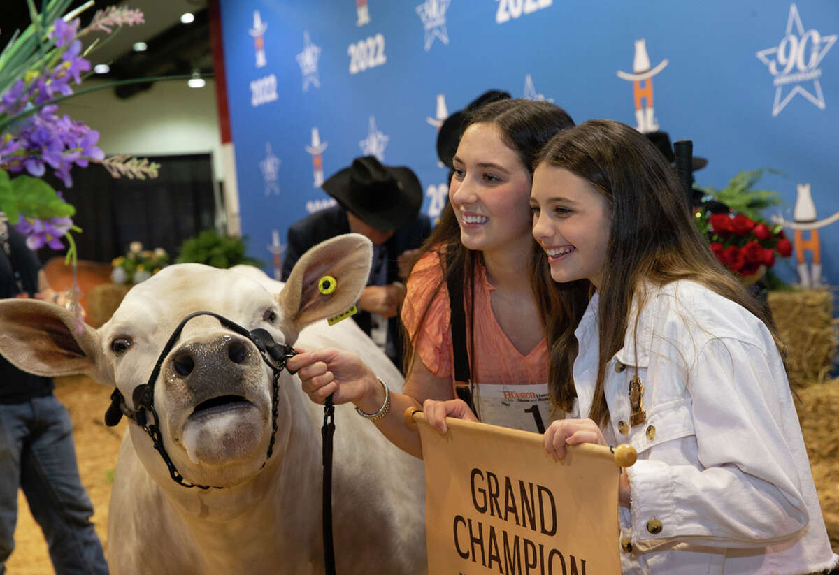 The Junior Market Steer Grand Champion Aven Horn, 16, of Anson, and her steer, Vanilla Ice, take a photograph with Elle McNear,right, after Elle’s grandparents bought Vanilla Ice at the Houston Livestock Show and Rodeo auction Saturday, March 19, 2022, at NRG Arena Sales Pavillion in Houston. Vanilla Ice was sold at record-breaking $1M.