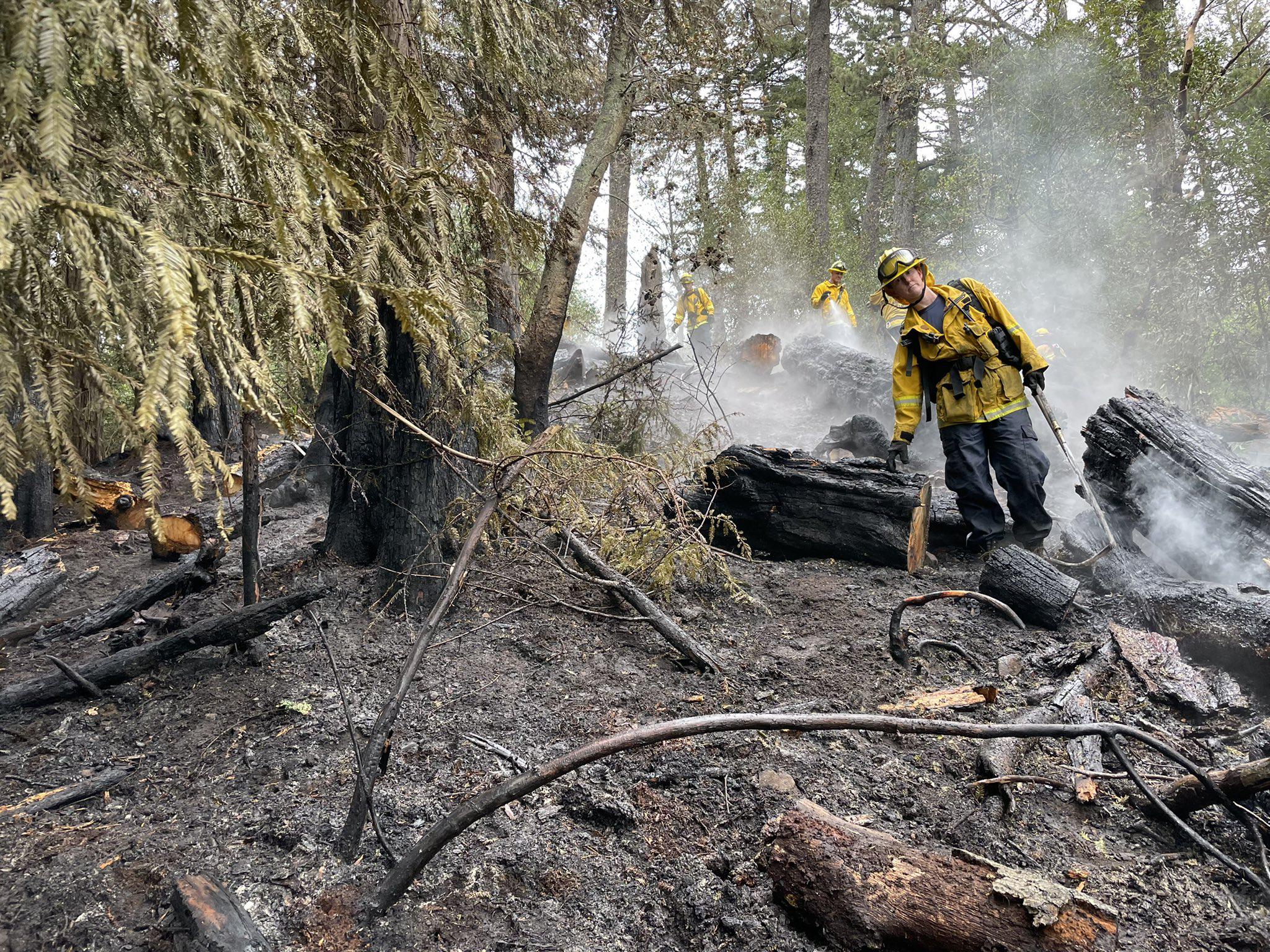 Firefighters battle blazes in Joaquin Miller Park, West Oakland - Vimarsana News
