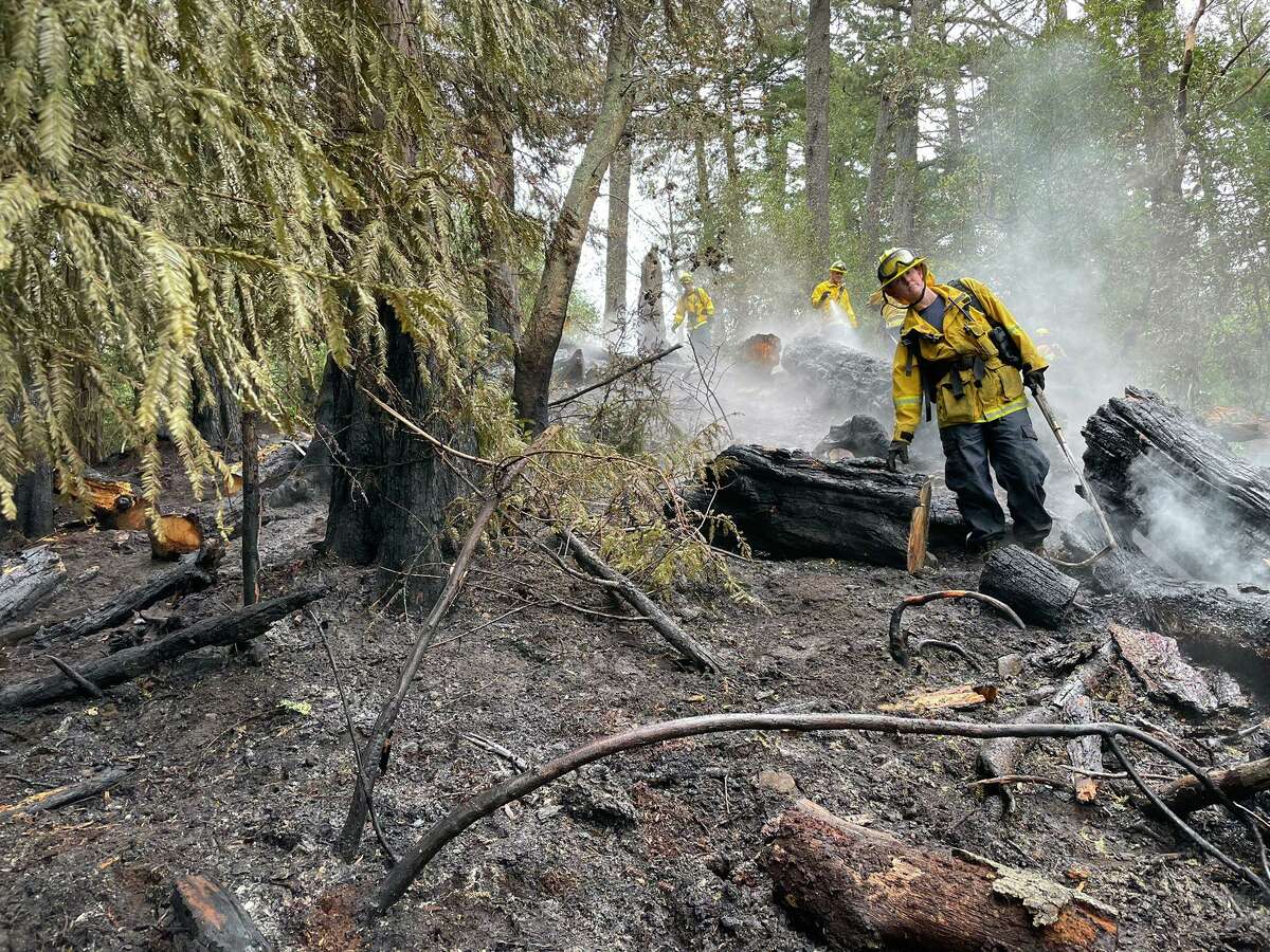 Oakland firefighters responded to a vegetation fire at Joaquin Miller Park on Saturday morning.