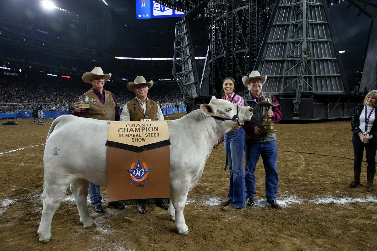A white cross-bred steer named Vanilla Ice, raised by sixteen-year-old Aven Horn from Anson, Texas, won Grand Champion steer at the 2022 Houston Livestock Show and Rodeo Friday.