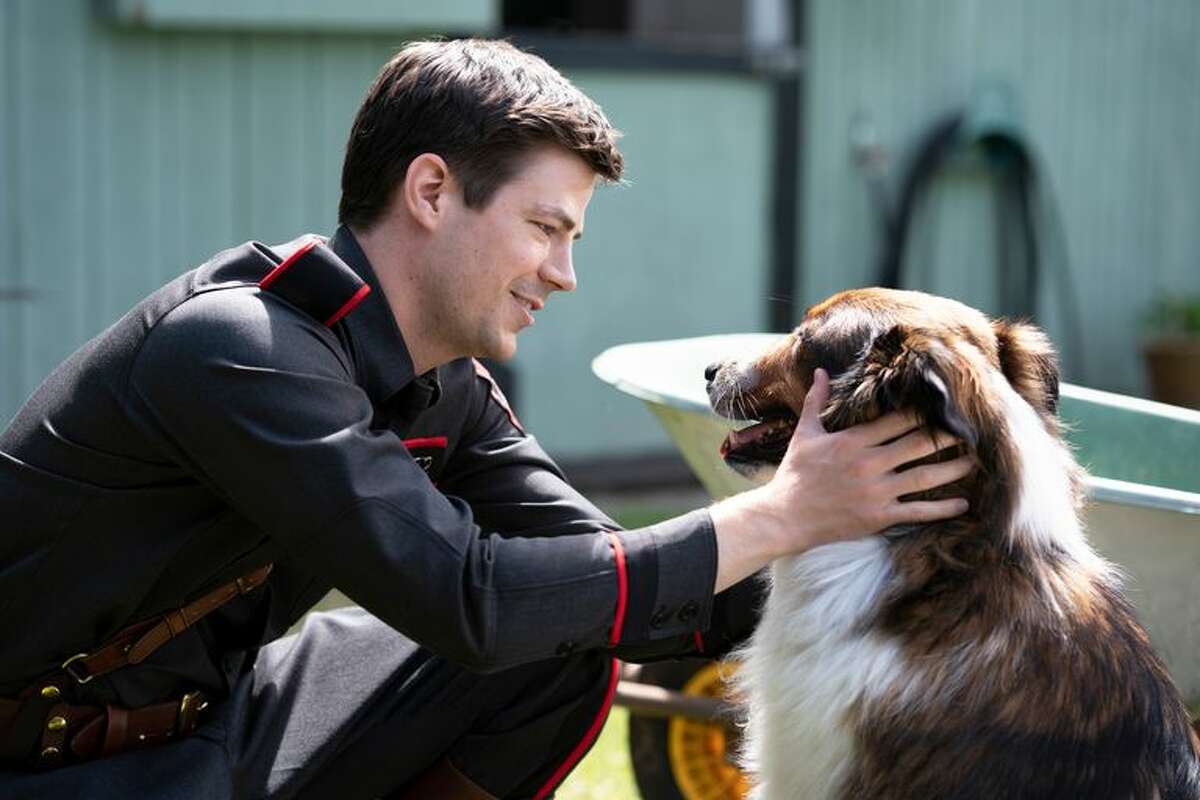 “Rescued by Ruby” now on Netflix features Grant Gustin and a border collie that steals almost every scene. 