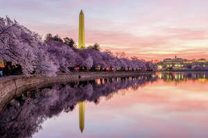 Fly to D.C. for $38 from Austin