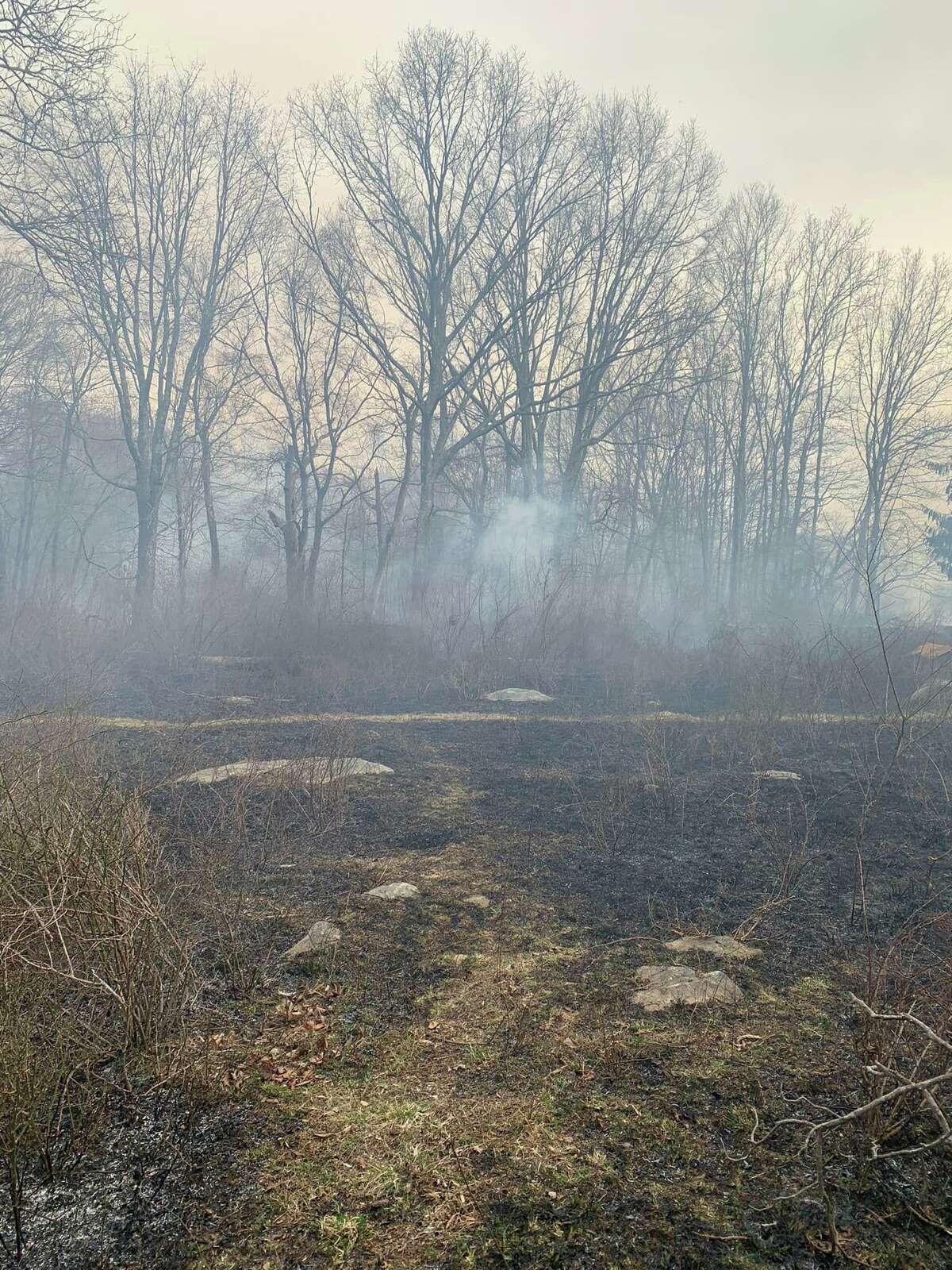 The Ledyard Fire Company is fighting a 2-acre brush fire on Shewville Road.