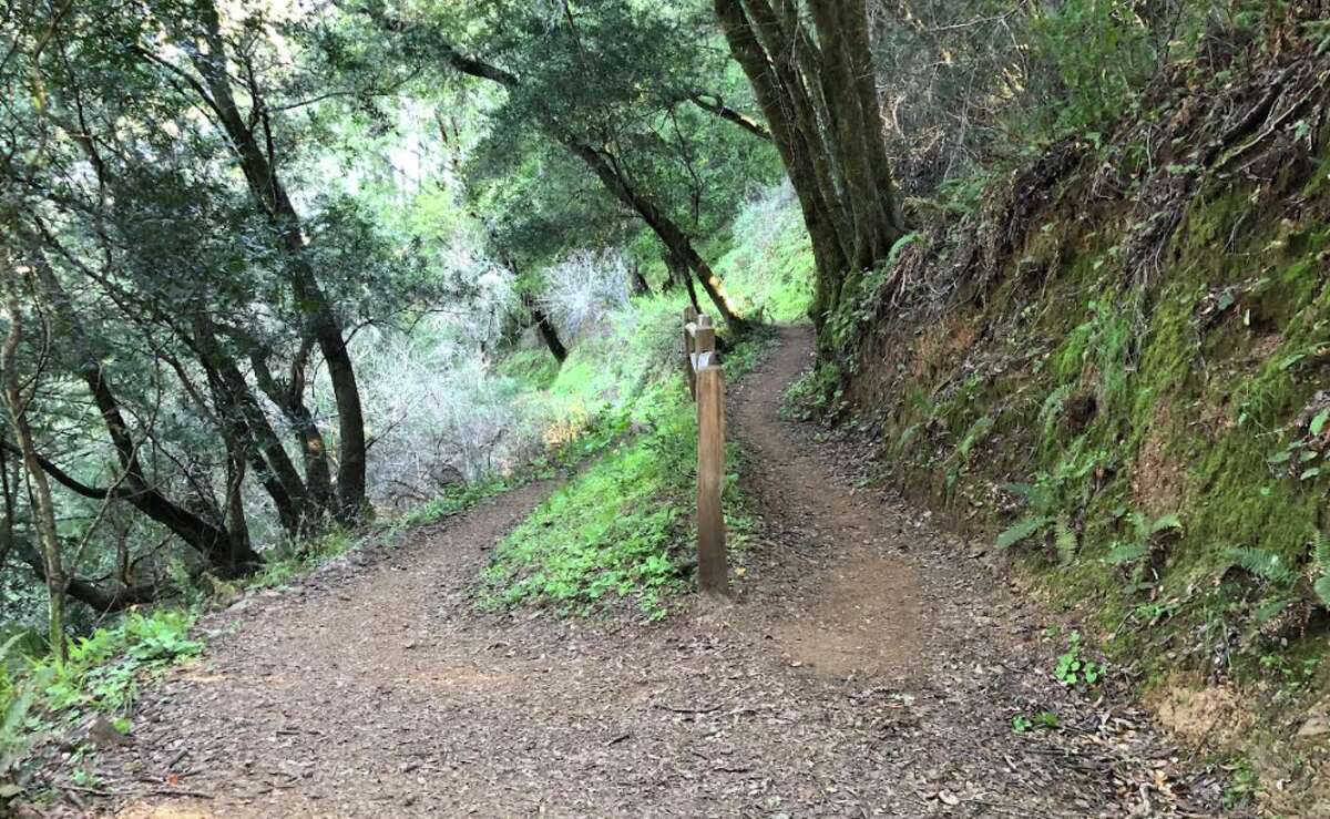 This gorgeous Bay Area hike near Point Reyes just reopened