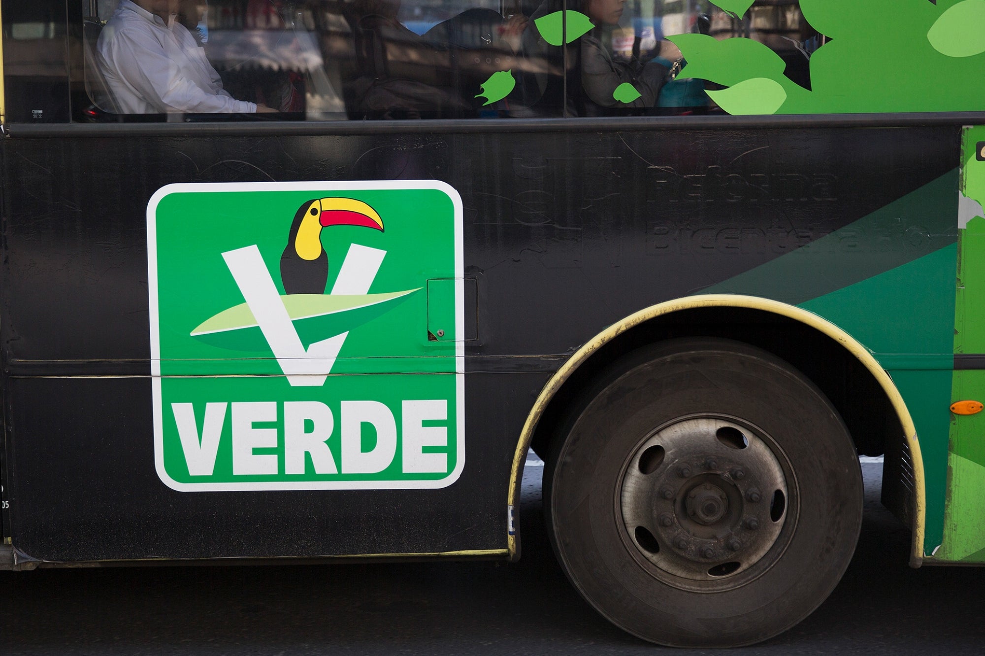 These are the fines that Mexican influencers will pay for promoting the Green Party during the 2021 electoral ban - Vimarsana News