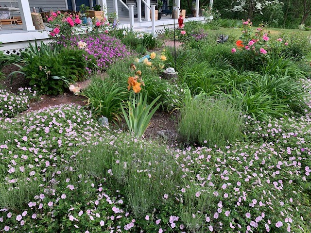 How to prepare your lawn and garden for spring