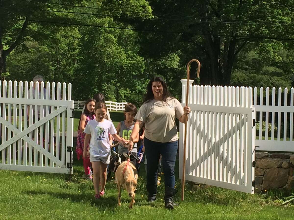 5 CT farms where you can hang out with goats, pigs, other animals