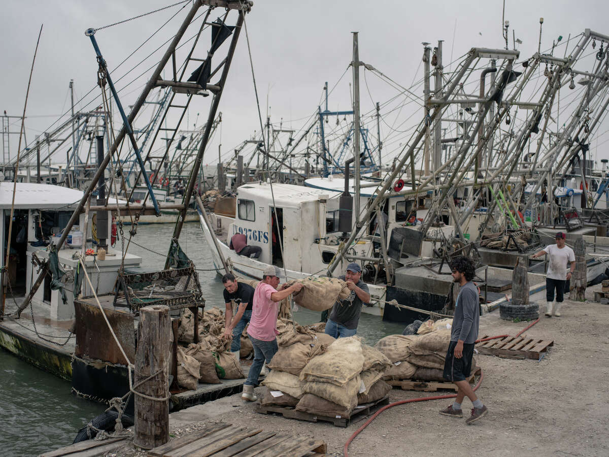 FULTON- Oyster fishermen with PJ's Shrimp Company load their day's catch onto pallets in Fulton Harbor, Texas. 