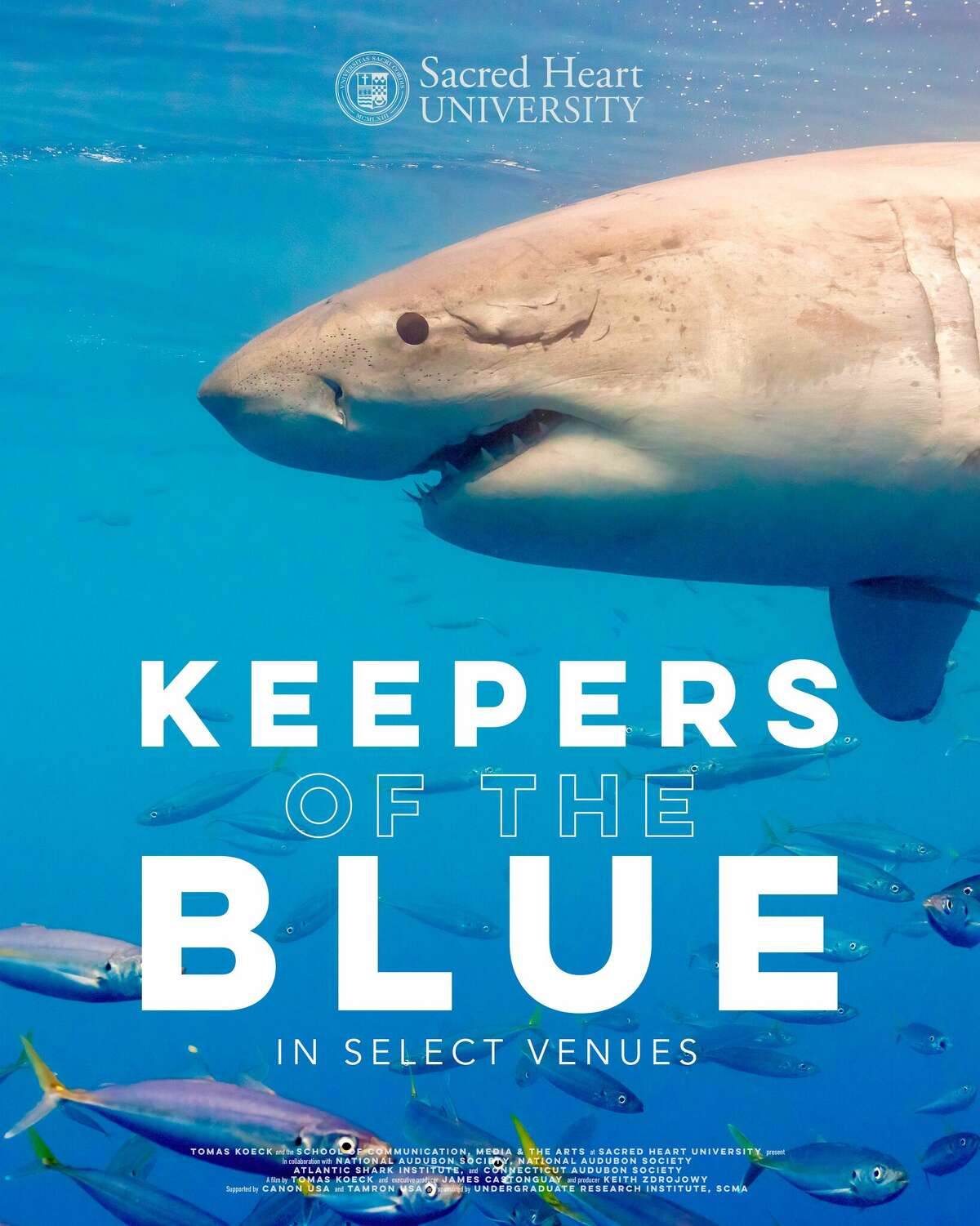 "Keepers of the Blue" is a new nature documentary by Sacred Heart University student Tomas Koeck. The film gives an ecological overview of different oceanic and aquatic environments.