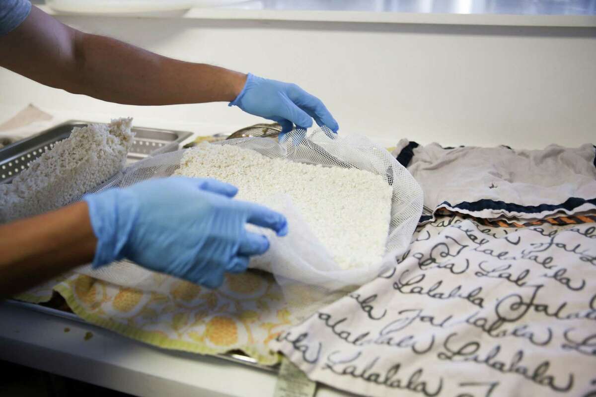 Kevin Gondo takes out a sheet of rice that’s alive with koji, fungi traditionally used for making miso, soy sauce and sake.