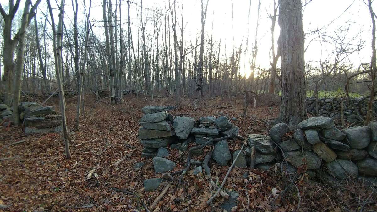 The Shelton Trails Committee has scheduled a work party Saturday, March 26, 2022, at French’s Hill, 111 acres of open space across from East Village Park.