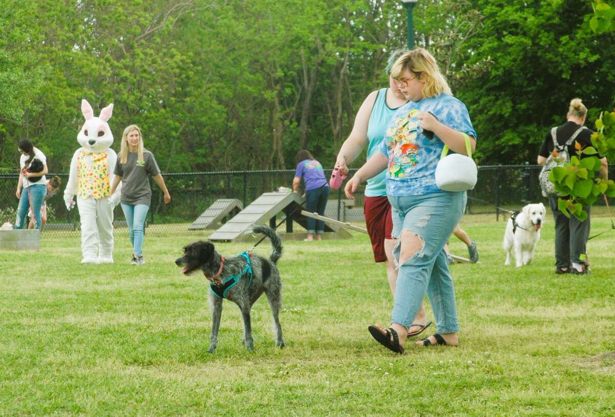 Pasadenaarea Easter activities Carrot pull, pooch event and oodles of