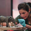 Katy's Hemu Basumatary fooled the judges on Netflix's "Is It Cake?" with her very realistic toy elephant.