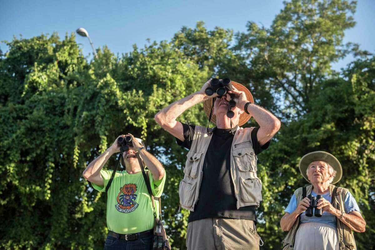 San Antonio Audubon Society tour guide Georgina Schwartz leads a walking tour as Ozzie Reguera, left, and Rick O’Brien identify a red tail hawk during a beginner’s bird walk at Judson Nature Trails in Alamo Heights in 2017.