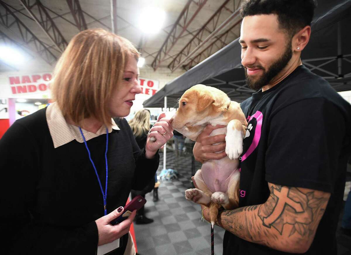 The first-ever March Puppy Ball Madness Tournament sponsored by Where the Love Is animal rescue is part of a pet adoption event at Napoli Kia in Milford on Saturday, March 26, 2022. Pictured are volunteers Janice and Chris Wallace, of Hamden, at a pet adoption event at Napoli Kia in January.