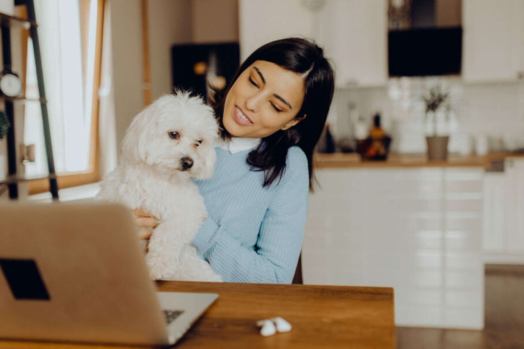 How Much Do Apartments Charge For Dogs how-much-do-apartments-charge-for-dogs