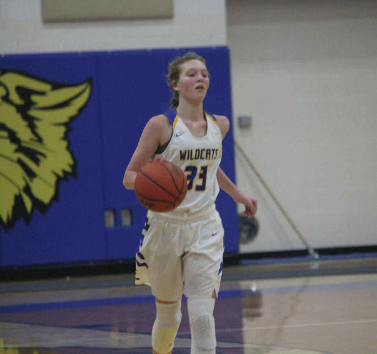 Addy Gray had an All-Highland Conference basketball season for Evart.