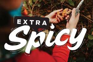 Extra Spicy podcast is back for Season 3