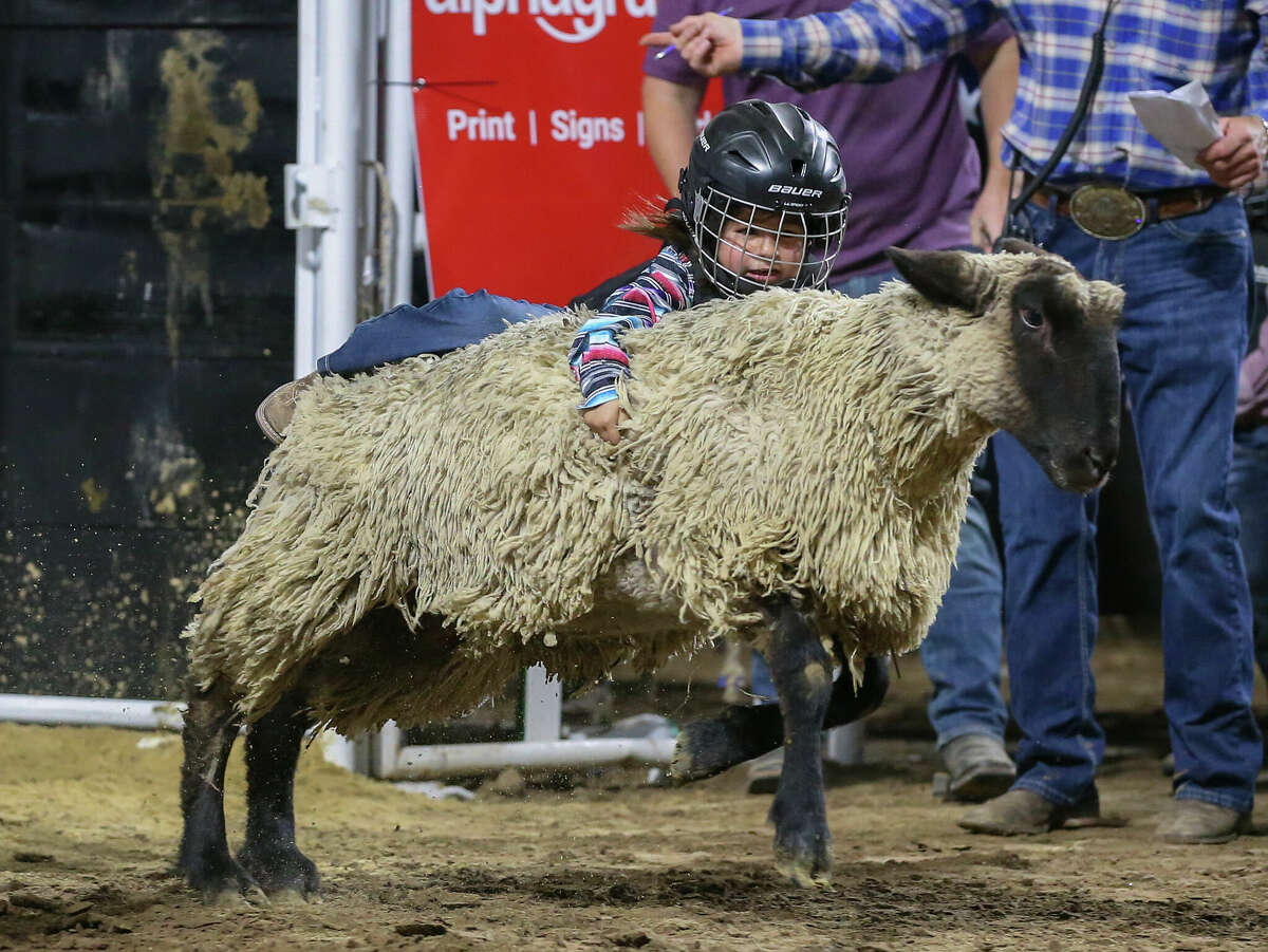 Photos YMBL Rodeo at Ford Park