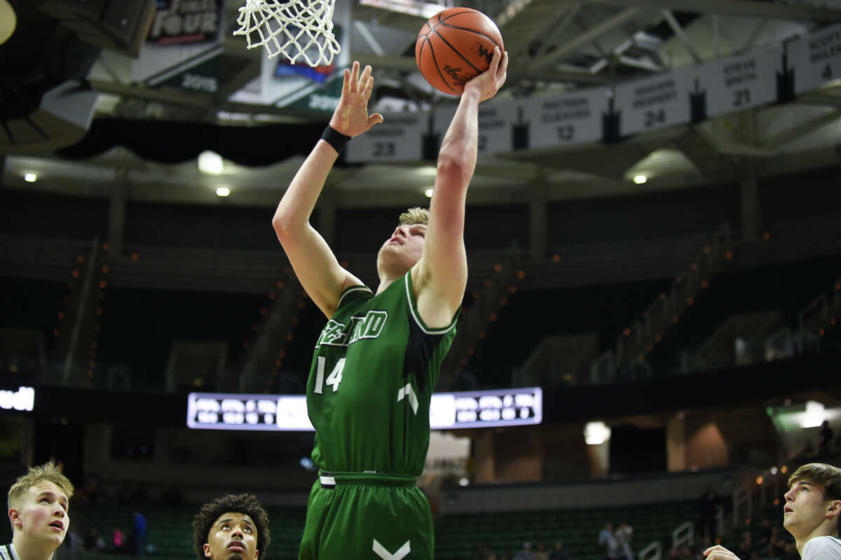Freeland's Bryson Huckeby takes a shot during the Falcons' state semifinal game against Williamston High School at Friday, March 25, 2022 Michigan State University.