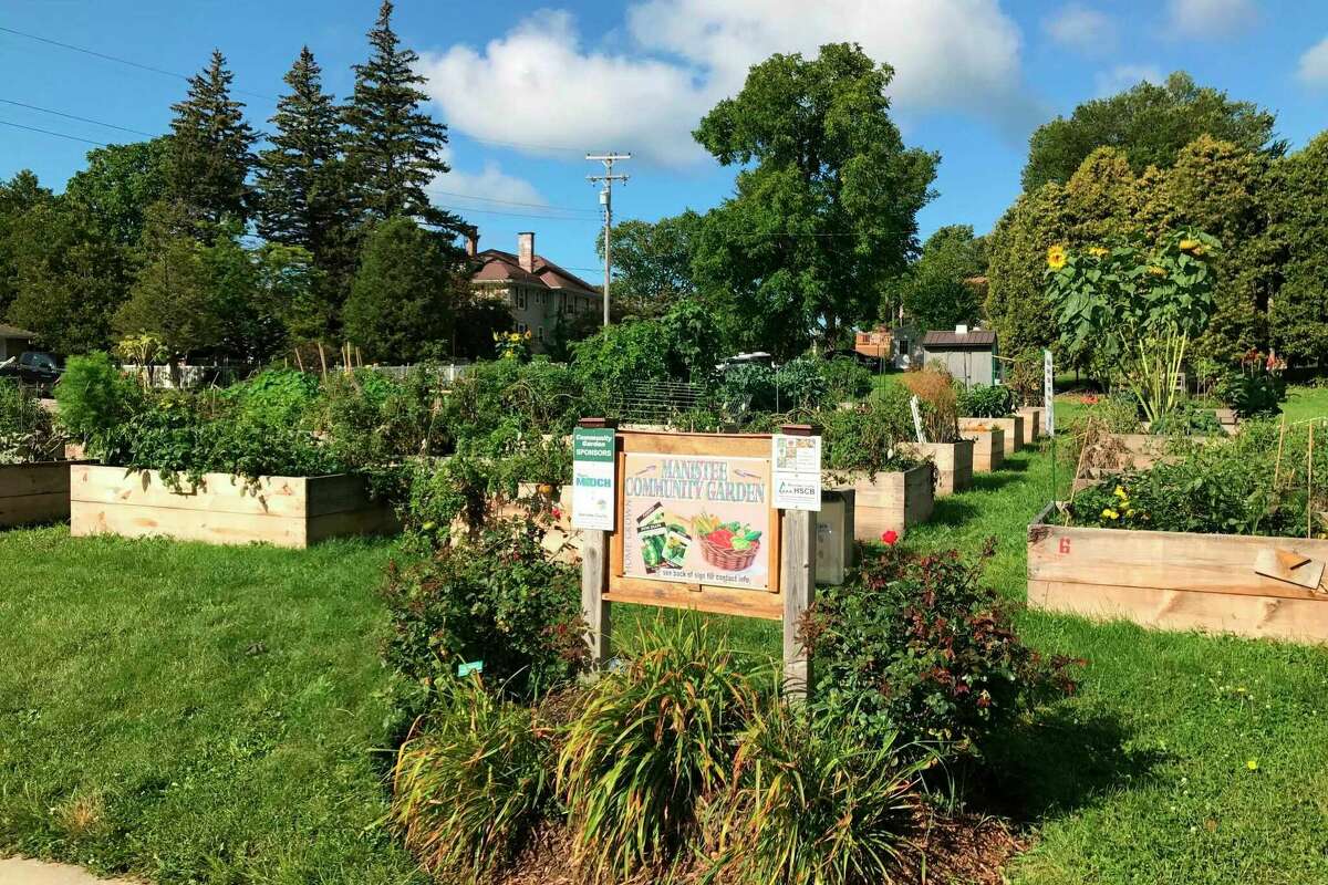 Sophia Street Community Garden offers outdoor therapy with raised beds for individuals and organizations to rent, located at the corner of Sophia and Michael streets in Manistee.