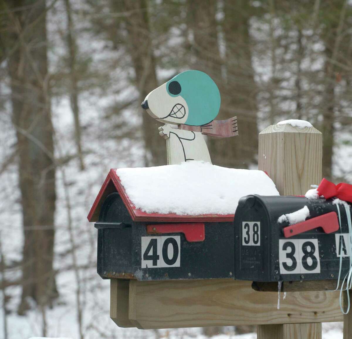 Snow covered mailboxes along Route 37 on Monday morning. March 28, 2022, Sherman, Conn.