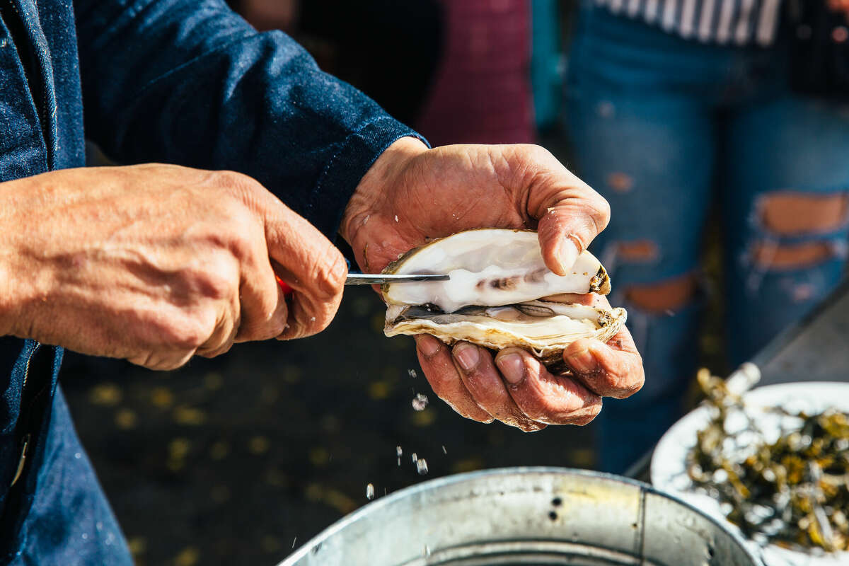 In Texas, the oyster industry contributes an estimated $50 million to the state economy, according to NOAA Fisheries.