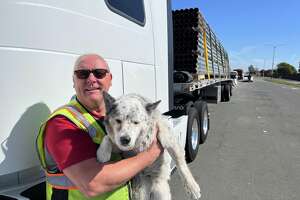 How this Bay Area trucker makes close to $1,000 a day