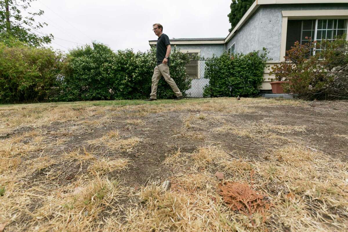 迈克尔·科特Glendora走他的草坪上,2014年7月17日,加州。许多加州业主停止浇灌草坪,在过去十年的干旱,此举纽森敦促企业今年做的。