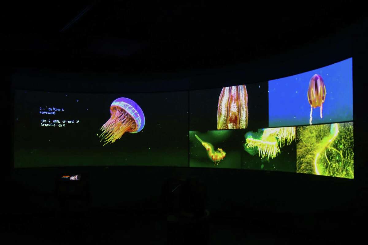 New show at Monterey Bay Aquarium provides rare view of creatures from the deep