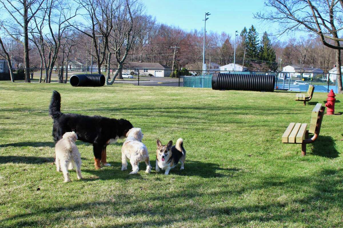 are dogs allowed at veterans memorial park