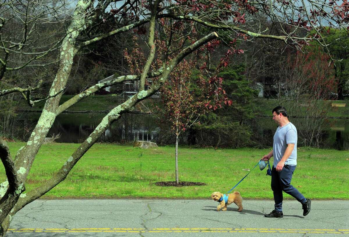 A man walks his dog through Twin Brooks Park in Trumbull, Conn., on Friday May 1, 2020. Trumbull is posting a survey, which will be accessible through the town website starting April 1, which aims to find out how residents feel on a variety of Trumbull-centric environmental and sustainability issues.