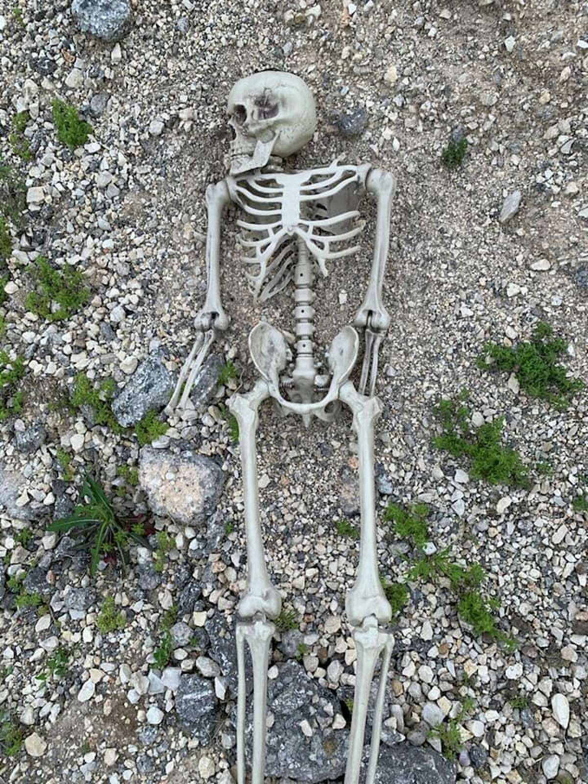 Converse police were called after a bystander reported finding possible human remains that turned out to be a plastic skeleton prop.