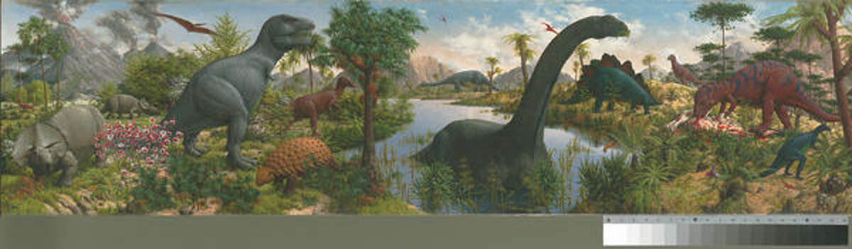The mural, completed in 1947, showcases a panorama of the evolutionary history of the earth based on the best paleontological knowledge available at the time, and spans more than 300 million years. Measuring 110 feet by 16 feet, the original painting occupies the full length of the east wall of the Peabody Museum’s Great Hall. Painted in the Renaissance fresco secco technique by Rudolph Franz Zallinger.
