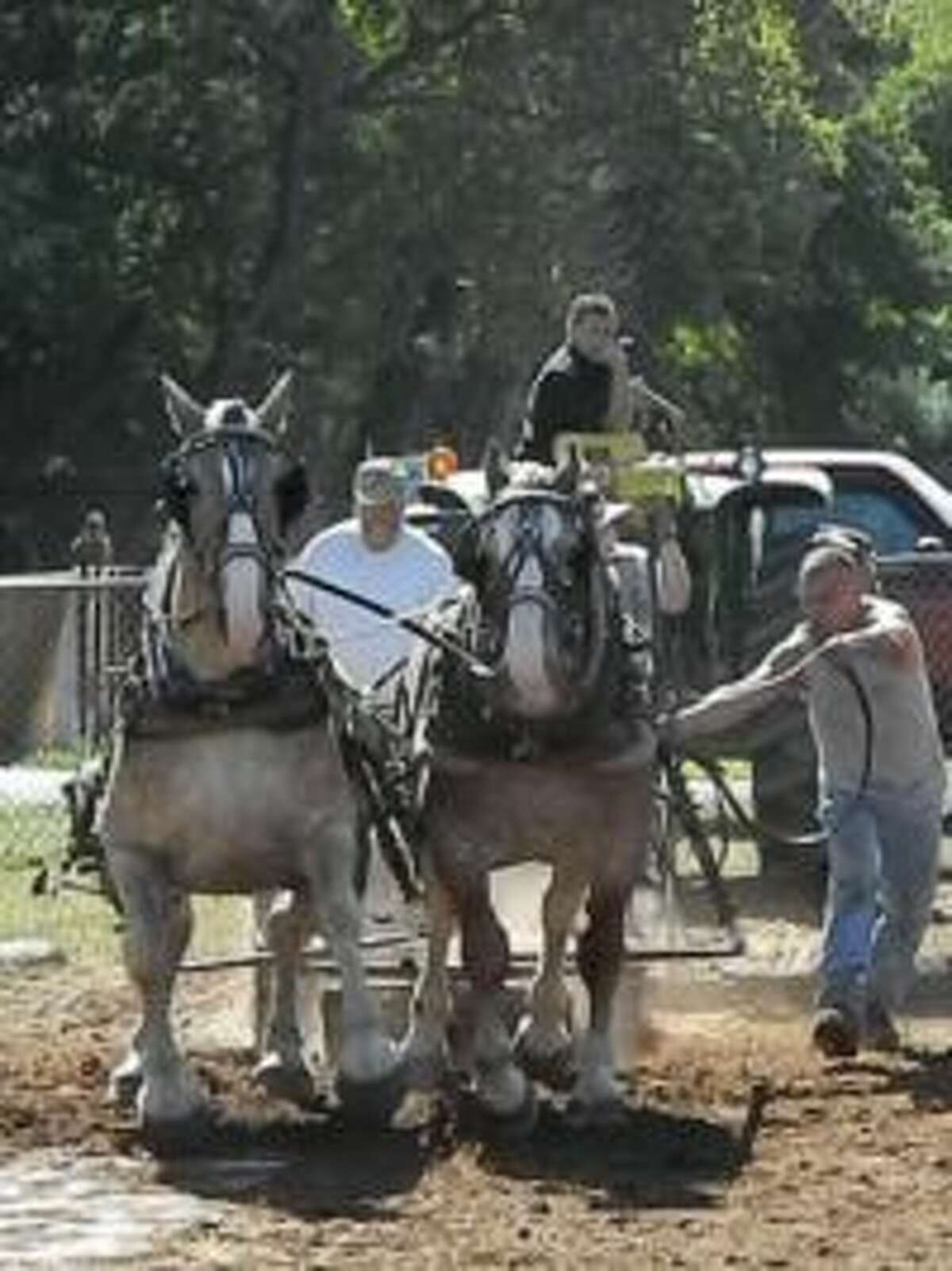 A classic fair scene in a photo from the website of the Orange Country Fair.